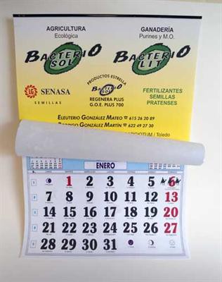 Calendario de Pared